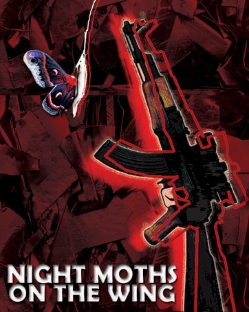 Night Moths on the Wing — play poster